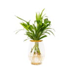 Barrel Vase with Bamboo Palm