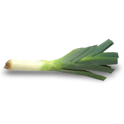 Leeks Porbella 200 Plug Tray