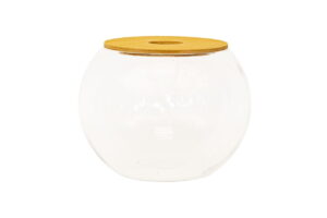 Fishbowl with Lid - no plant