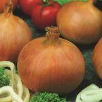 Onion-Mixed Sets Bulbs