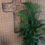 Areca Palm 30cm Pot (Bamboo Palm)
