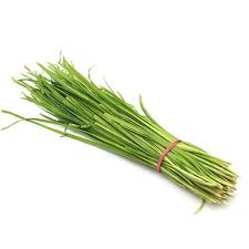 Garlic Chives 12cm Pot