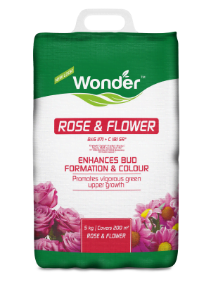 Wonder Rose & Flower 5KG