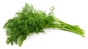 Dill 6 pack