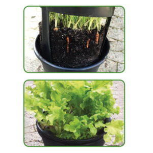 growhomebucket-img.jpg Grow Home Bucket® Black