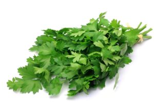 Parsley Italian/Flat Leaf 6 pack