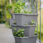 Paul Potato Planter