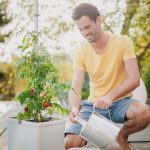 Tom Tomato Planter Tom Tomato Planter