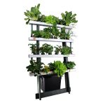 Marley Hydroponic Growing System Marley Hydroponic Growing System